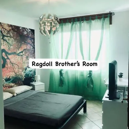 Ragdoll Brother'S Room Turijn
