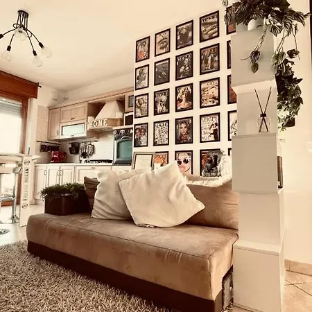 Ragdoll Brother'S Room Turijn