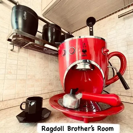 Ragdoll Brother'S Room Quarto em Acomodações Particulares *