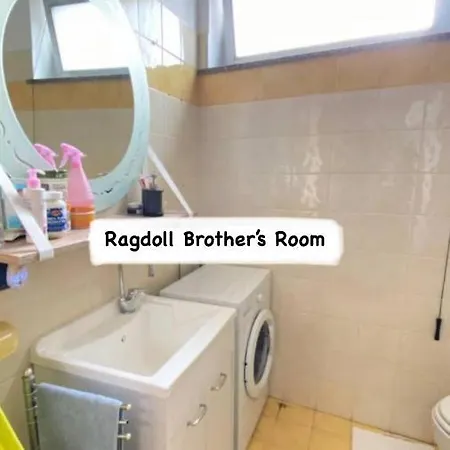 Ragdoll Brother'S Room *