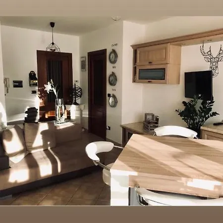 Ragdoll Brother'S Room